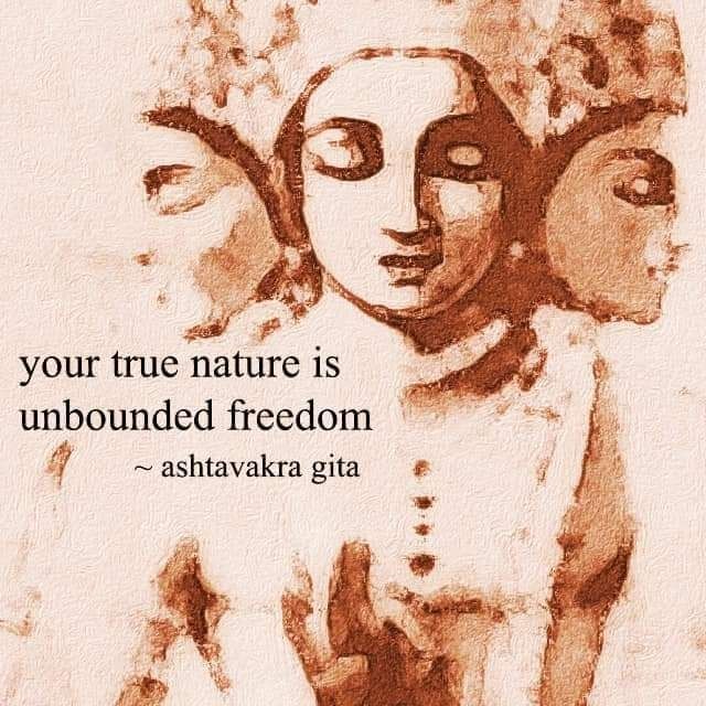 whatsapp image 2026 04 02 at 12.25.02 pm